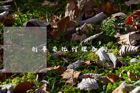 刑事委托代理合同