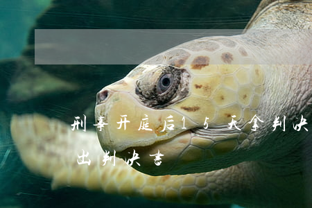 刑事开庭后15天拿判决书吗(刑事开庭几天出判决书)