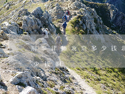 刑事律师北京多少钱(北京刑事律师咨询费多少钱啊)