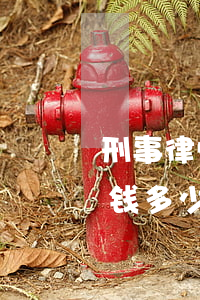 刑事律师请一次多少钱(刑事律师请一次多少钱多少钱)