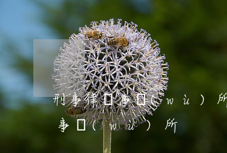 刑事律師事務(wù)所(上海靖霖刑事律師事務(wù)所)