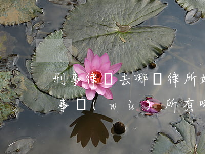 刑事律師去哪個律所好(比較厲害的刑事律師事務(wù)所有哪些?)