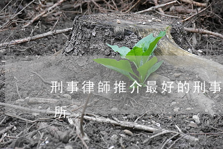刑事律師推介(最好的刑事律師事務(wù)所)