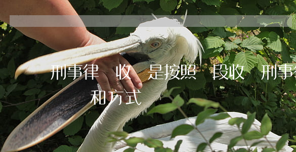 刑事律師收費是按照階段收嗎(刑事律師收費標準和方式)
