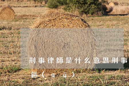 刑事律師是什么意思(刑事律師和民事律師的區(qū)別)