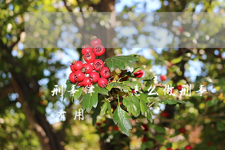 刑事律師該怎么做(刑事請(qǐng)律師有用嗎)