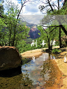 刑事律師費(fèi)用一般怎么收的(請(qǐng)刑事律師費(fèi)用一般是多少錢)