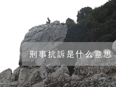 刑事抗訴是什么意思