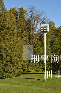 刑事拘留10天一般幾點(diǎn)放出來(刑事拘留最快幾天放出)
