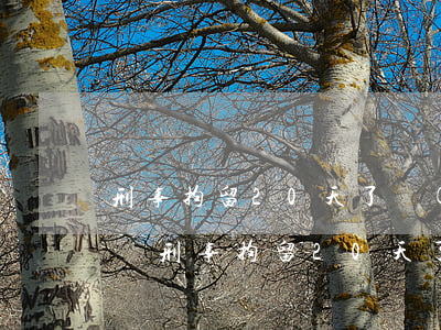 刑事拘留20天了請(qǐng)律師管用嗎(刑事拘留20天了怎么還不讓見律師)