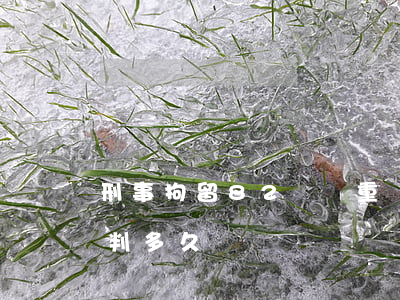 刑事拘留82條嚴重嗎(刑事拘留82條判刑判多久)