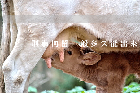 刑事拘留一般多久能出來