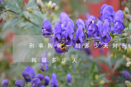 刑事拘留一般多少天判刑(在判刑之前最多能拘留多少天)