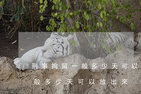 刑事拘留一般多少天可以放出來(行政拘留一般多少天可以放出來)