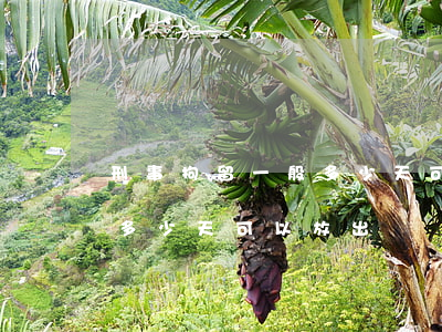 刑事拘留一般多少天可以放出(刑事拘留一般多少天可以放出來腳后腳跟骨折六個月了)