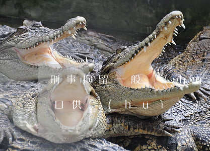 刑事拘留一般會(huì)錄多少次口供(錄口供會(huì)被拘留嗎)