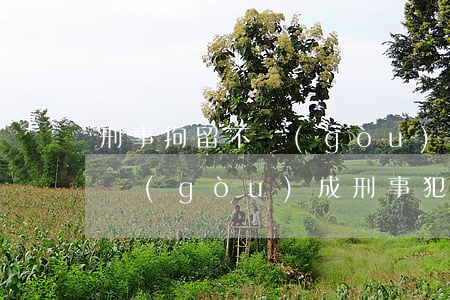 刑事拘留不構(gòu)成犯罪怎么處理(不構(gòu)成刑事犯罪拘留多久)