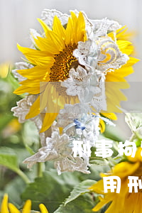 刑事拘留不構(gòu)成犯罪怎么處理(不適用刑事拘留的情形)