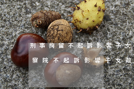 刑事拘留不起訴影響子女政審嗎(刑事案件檢察院不起訴影響子女政審嗎)