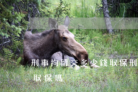 刑事拘留交多少錢取保(刑事案件拘留可以辦取保嗎)
