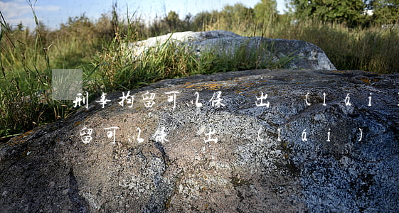 刑事拘留可以保釋出來(lái)嗎(刑事拘留可以保釋出來(lái)嗎,叫晚十點(diǎn)前去接人)