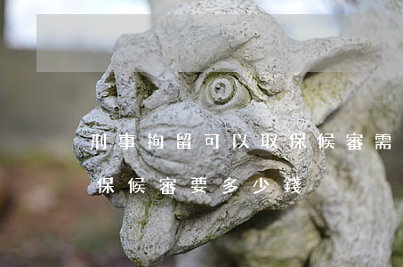刑事拘留可以取保候審需要多少錢(刑拘后取保候審要多少錢)