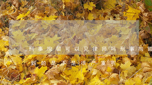 刑事拘留可以见律师吗(刑事拘留,律师都见不到的是不是很严重呢)