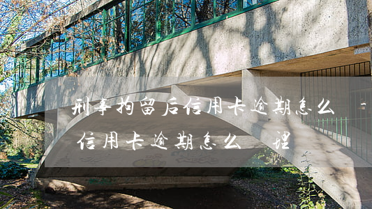 刑事拘留后信用卡逾期怎么辦-刑事拘留后信用卡逾期怎么辦理