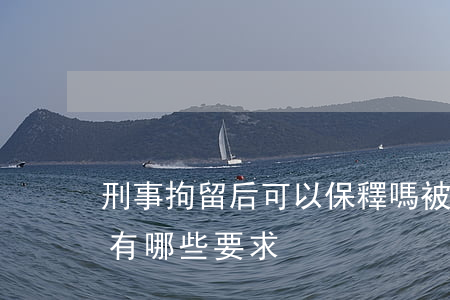 刑事拘留后可以保釋嗎(被拘留了可以保釋嗎?有哪些要求?)