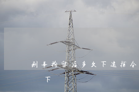 刑事拘留后多久下逮捕令(拘留多久逮捕令才會下來)