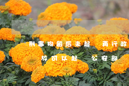 刑事拘留后未起訴再行政拘留(刑事拘留無罪釋放可以起訴公安部門嗎)