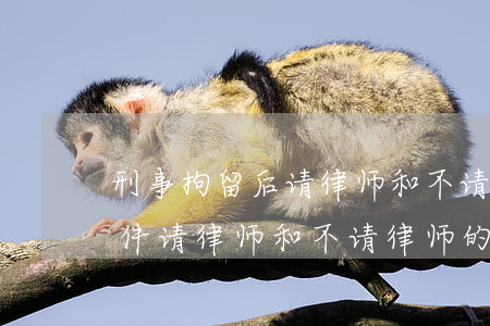 刑事拘留后请律师和不请律师的区别?(刑事案件请律师和不请律师的区别)