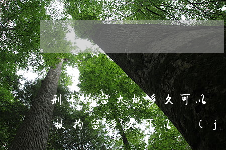刑事拘留大概多久可以見(jiàn)律師(被拘留多久可以見(jiàn)到律師)