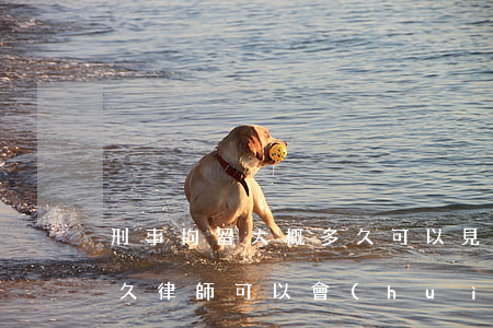 刑事拘留大概多久可以見律師(被刑拘以后多久律師可以會(huì)見)