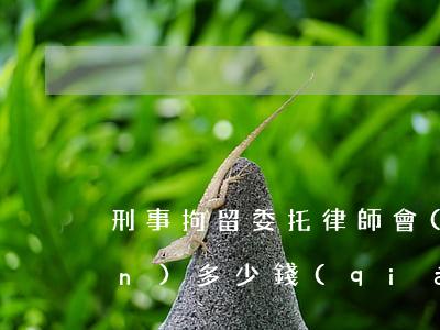 刑事拘留委托律師會(huì)見(jiàn)多少錢(qián)(被拘留請(qǐng)律師去會(huì)面費(fèi)用多少)