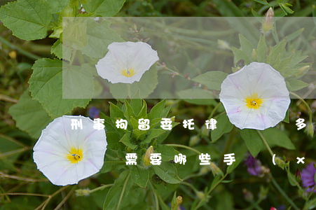 刑事拘留委托律師會見多少錢(刑拘期間律師會見需要哪些手續(xù))