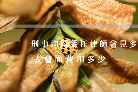 刑事拘留委托律師會見多少錢(被拘留請律師去會面費用多少)