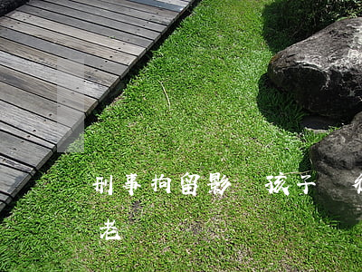 刑事拘留影響孩子當律師嗎(刑事拘留可以當老師嗎)