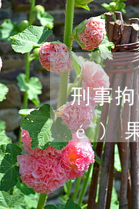 刑事拘留怎么回事(刑事拘留是什么結(jié)果)