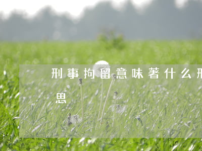 刑事拘留意味著什么(刑事拘留意味著什么意思)