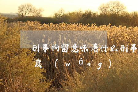 刑事拘留意味著什么(刑事拘留意味著什么 百度網(wǎng)盤)