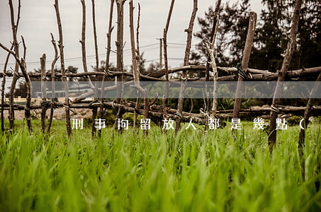 刑事拘留放人都是幾點(diǎn)放