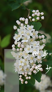刑事拘留最多多少天(涉嫌赌博刑事拘留最多多少天)