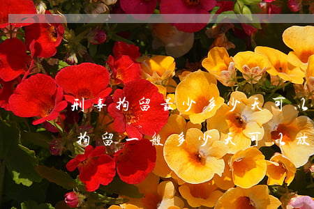 刑事拘留最少多少天可以放出來(lái)(拘留一般多少天可以放出來(lái))