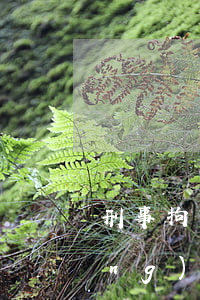 刑事拘留最長(zhǎng)多長(zhǎng)時(shí)間(公安刑事拘留最長(zhǎng)多長(zhǎng)時(shí)間)