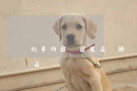刑事拘留會留案底嗎(醉駕不刑事拘留會留案底嗎)