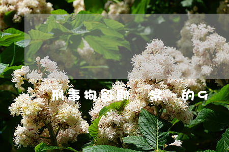 刑事拘留期間常見的9個法律問題