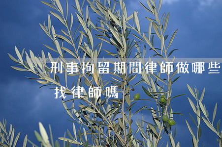 刑事拘留期間律師做哪些工作(刑事拘留可以找律師嗎)