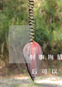 刑事拘留期間律師可以保釋出來嗎(刑事拘留后可以保釋嗎)