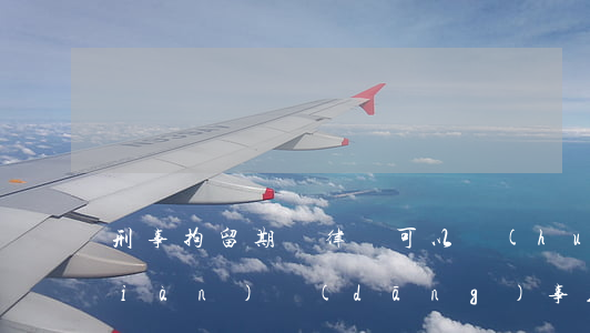 刑事拘留期間律師可以會(huì)見(jiàn)當(dāng)事人嗎